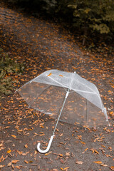 transparent umbrella in the autumn park. autumn trends