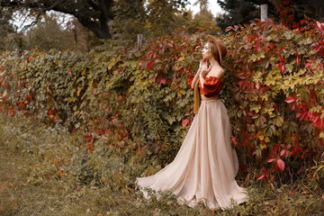 Obraz na płótnie Canvas model in a beautiful autumn dress on an autumn background. free space for text.
