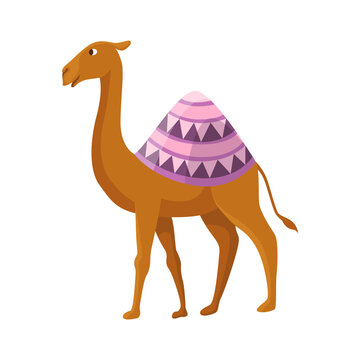 Camel with one hump and dromedary. Desert animal walking with decorative ethnic ornament saddle, side view. Cartoon vector. Flat icon design, isolated on white background