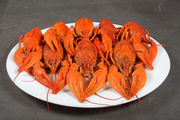 boiled crayfish on a white plate, dark concrete background