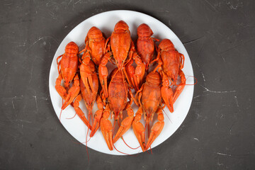 boiled crayfish on a white plate, dark concrete background, top view