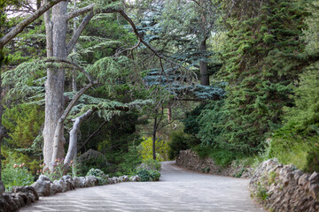 fabulous summer plants trails leading to the unknown