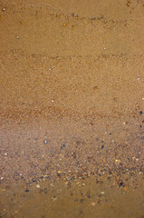rocks on sandy beach texture in summer with copy space 