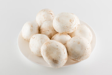 premium champignon mushrooms isolated