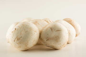 premium champignon mushrooms isolated