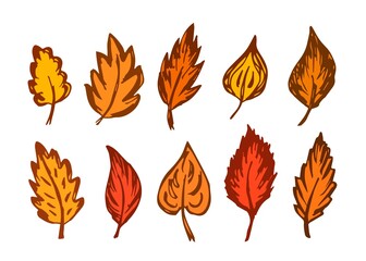 Fototapeta premium Simple vector color drawing. Set of bright dry autumn leaves for seasonal design. Leaf fall.