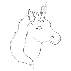 Unicorn, hand drawn vector illustration for logotype