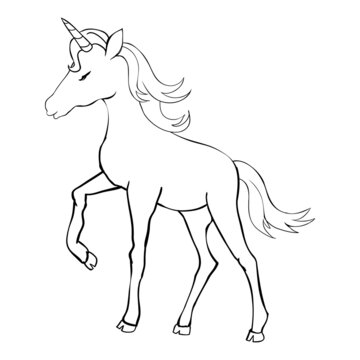 Unicorn, hand drawn vector illustration for logotype