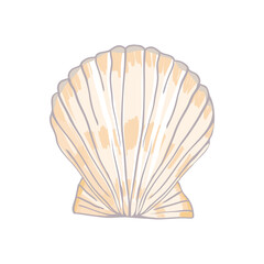 Cute pink sea shell. Hand drawn illustration vector.