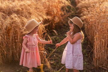 Girlfriends tickle each other's nose with spikelets of rye. Little girls in straw hat are having fun
