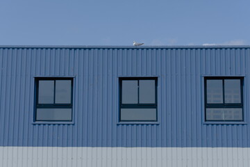 Fenêtres de hangar métallique .