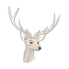 Cartoon deer - cute character for children.