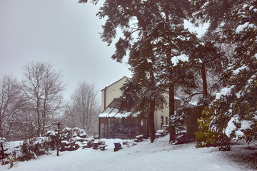 Traditional smallholding cottage in snow and mist