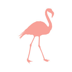 Vector image of a silhouette of a flamingo bird standing on one leg