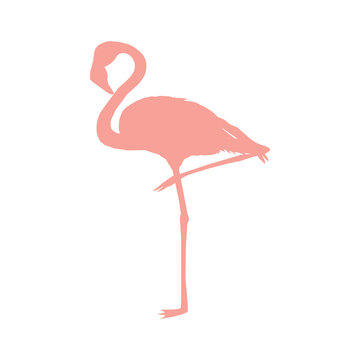 Vector image of a silhouette of a flamingo bird standing on one leg