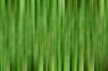 Motion blur green grass background