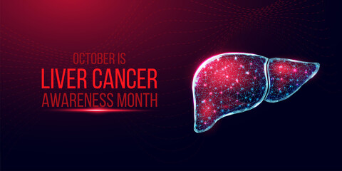 Liver cancer awareness month concept. Banner template with glowing low poly wireframe liver. Futuristic modern abstract. Isolated on dark background. Vector illustration.