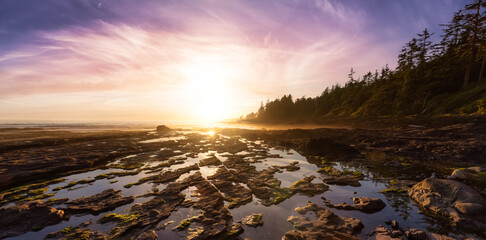 Botanical Beach on the West Coast of Pacific Ocean. Dramatic Sunset Sky Art Render. Canadian Landscape. Located in Port Renfrew near Victoria, Vancouver Island, BC, Canada. Nature Background