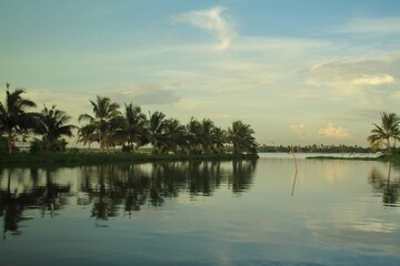 Lake banks with a view of the  coconut trees