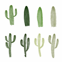 cactus collections, vector design
