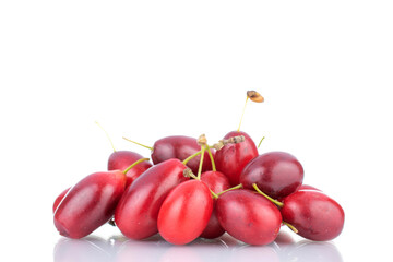 Several bright red ripe dogwood berries, close-up, isolated on white.