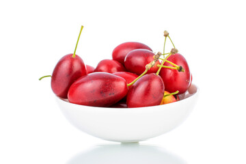 Several bright red ripe dogwood berries in a ceramic bowl, close-up, isolated on white.