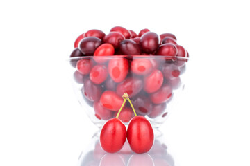 Several bright red ripe dogwood berries in a glass bowl, close-up, isolated on white.