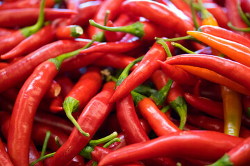 red hot chili peppers