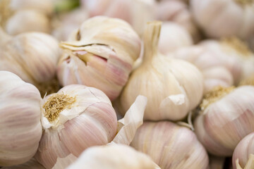 garlic from the green grocer