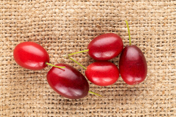Several bright red ripe dogwood berries on sacking, close-up, top view.