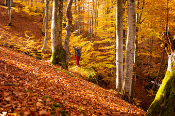 Woman is standing on the big stone in the autumn forest