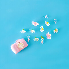 A camera with flowers. Minimal flower arrangement.