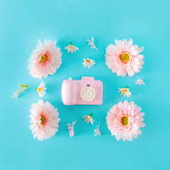 A camera with flowers. Minimal floral arrangement on a blue background.