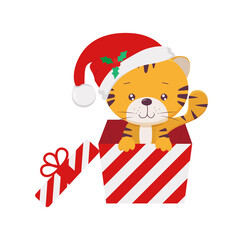 Little cute tiger cub in the gift box with santa's cap, year of the zodiac animal, cartoon vector illustration isolated on transparent background clipart. Happy Chinese New Year 2022.