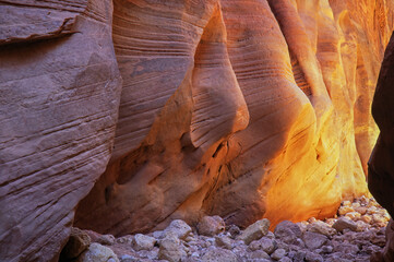 Landscape of Buckskin Gulch Slot Canyon aglow with reflected light, Coyote Buttes Paria Canyon-Vermillion Cliffs Wilderness Area, Utah, USA