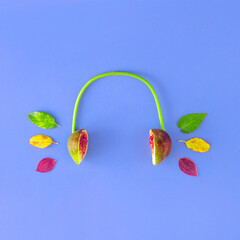 Fig-shaped headphones. Conceptual minimum composition of vegetables with autumn leaves.