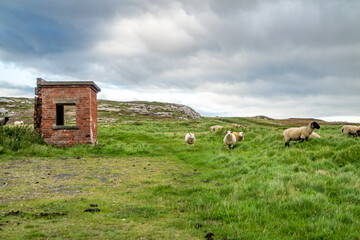 The ruins of Lenan Head fort at the north coast of County Donegal, Ireland.