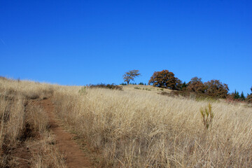 Obraz premium Nearing Summit from South Trail Mt. Pisgah, Eugene, Oregon 