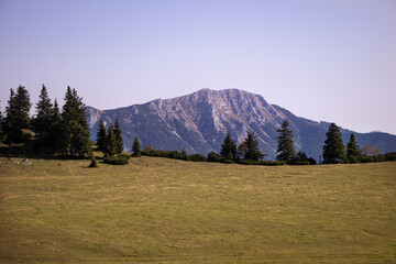 Wiesenalm und Dürrenstein in Niederösterreich