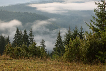 Picturesque view of mountain landscape with beautiful forest and fog patches