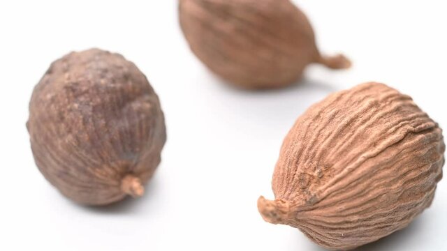 angle view herb CaoGuo or Tsaoko Fructus or Tsaoko Amomum Fruit rotating