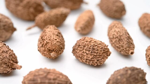 angle view herb ShaRen or Amomi Fructus or Villous Amomum Fruit rotating