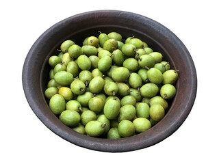 Ceylon Olive in clay pot isolated in white background.