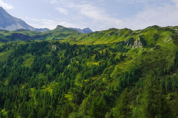 amazing green mountain landscape with trees and hills in austria
