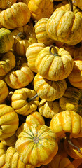 Pumpkins and Gourds at the Fall Farmers Market