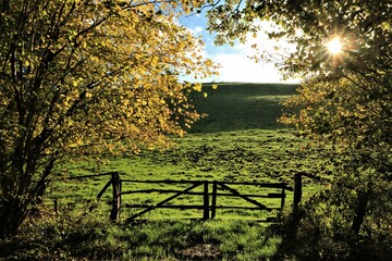 Blick auf eine Weide mit Zaun und H&uuml;gellandschaft im Herbst mit gold verf&auml;rbten Bl&auml;ttern.