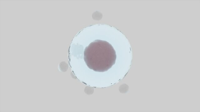 Balls randomly move around sphere. Design. Illustrative animation of movement of electrons or atom around molecule. Molecule with rotating balls around on isolated background