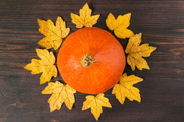 Top down view of an orange pumpkin surrounded by yellow maple leaves on a dark wooden tabletop.