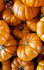 Pumpkins and Gourds at the Fall Farmers Market