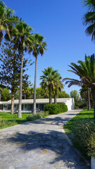 Obraz na płótnie Canvas hotel grounds garden palm trees flowers shrubs path lawn cyprus summer vacation garden resort summer